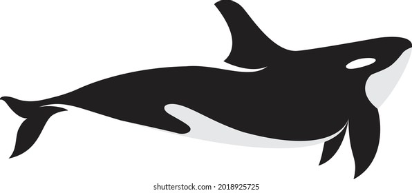 Vector of whale design on white background. Undersea animals.