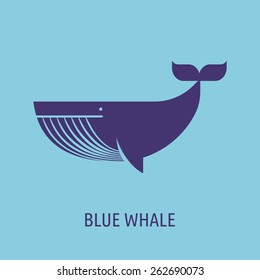 vector whale illustration and icon