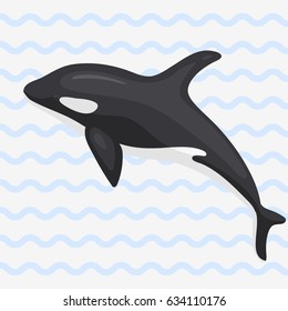 Vector whale illustration marine mammal north surface deep humpback ocean marine mammal.