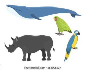 Vector whale illustration north surface deep humpback ocean marine mammal wildlife aquatic endangered species character.