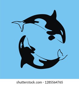 vector whale illustrations