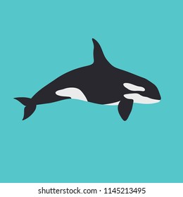 Vector whale killer in water. Flat orca swim. Simple illustration.