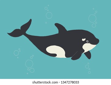 Vector whale killer in water. Flat orca swimming. Cartoon vector hand drawn eps 10 children s book illustration isolated on white background in a flat style.