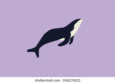 A vector of whale in a purple background.