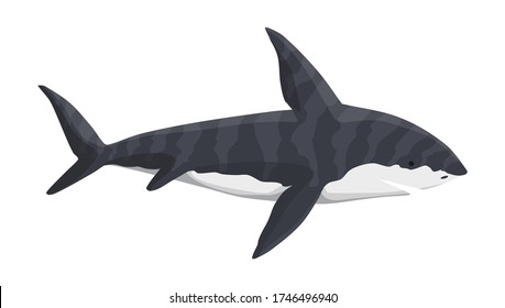 Vector whale shark character. Underwater sea animal. Big dangerous marine predator. Illustration of Marine wildlife