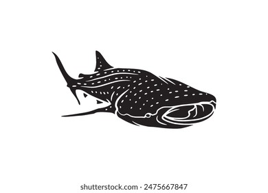 Vector whale shark illustration isolated. Sea fish blue whaleshark