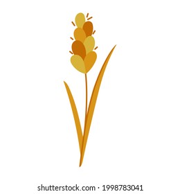 Vector wheat, cereals on white background. Illustrations for restaurant. Vector illustration