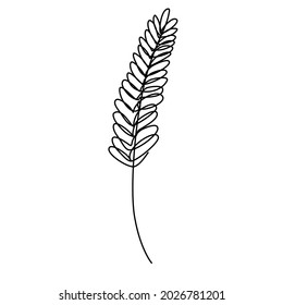Vector Wheat in Continuous Line Art Style with Editable Stroke. Outline Agriculture icon.