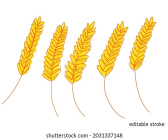 Vector Wheat in Continuous Line Art Style with Editable Stroke. Outline Agriculture icon.