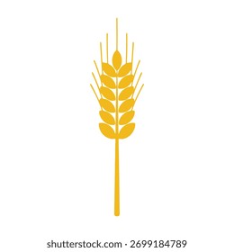 espigas de trigo vetoriais isoladas sobre fundo branco