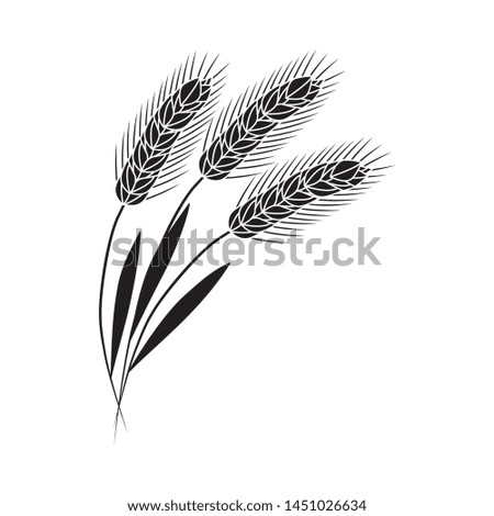 Vector wheat ears, oats or barley black silhouette icon. Organic food, harvest cereal for agricultural product design. Natural heatlhy food full of vitamins and nutritions. Isolated illustration