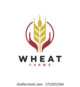 vector wheat for farm logo design template
