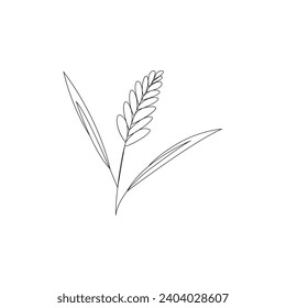 Vector wheat grain ear nature bread one line art drawing concept for bakery.Out line vector illustration