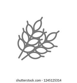 Vector wheat grains line icon. Symbol and sign illustration design. Isolated on white background
