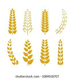 Vector Wheat Icons Set, Golden Wheat Ears Isolated on White Background, Logo Template.