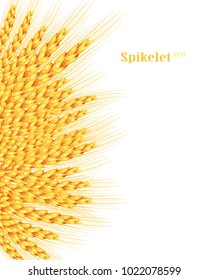 Vector wheat on white isolated background. It goes to create unusual postcards. Vector illustration.