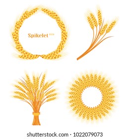Vector wheat on white isolated background. Vector illustration.