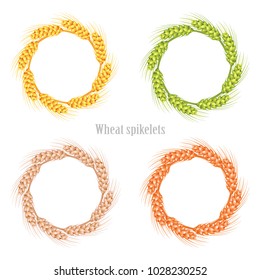 Vector wheat in the shape of a circle on a white background isolated. Vector illustration.