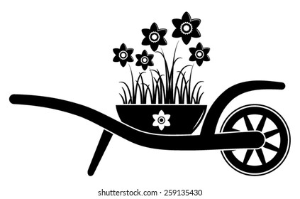 vector wheel barrow and daffodils isolated on white background