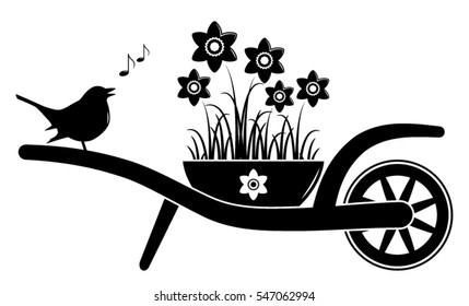 vector wheel barrow with daffodils in pot and singing bird isolated on white background