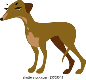 vector whippet design: dog breeds series