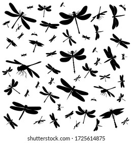 vector, white background, black silhouette dragonfly, background