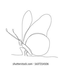 vector, white background, butterfly continuous line drawing