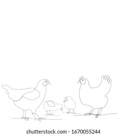 vector, white background, continuous line drawing of chickens and chicken