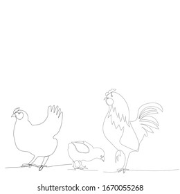 vector, white background, continuous line drawing of chickens and chicken, rooster