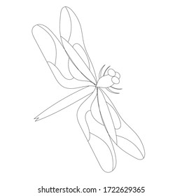 Vector White Background Dragonfly Outline Stock Vector (Royalty Free ...