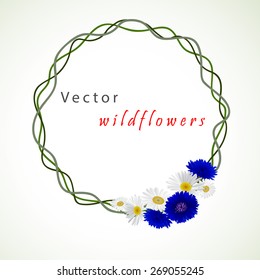 Vector white background with flowers chamomile, cornflowers. Can be placed on the packaging