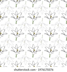 Vector white background white flowers seamless pattern. Lilies. Seamless pattern background