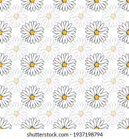 Vector de fondo blanco color de fondo blanco color rosa floral sin costuras. Daisies Fondo de patrón sin soldadura