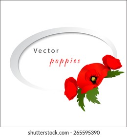 Vector white background with red flowers poppies