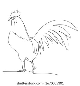 vector, white background, rooster continuous line drawing