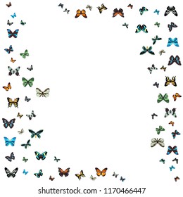 vector, white background with silhouette of butterflies