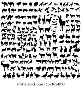 vector, white background, silhouette set of wild and domestic animals