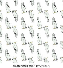 Vector white background tropical birds, parrots, exotic cockatoo birds. Seamless pattern background