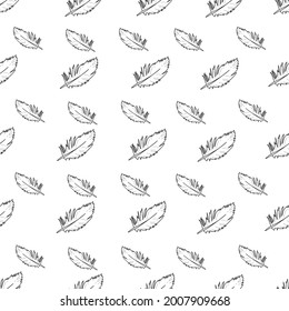 Vector white background tropical birds, parrots, macaw, exotic cockatoo birds feathers. Seamless pattern background