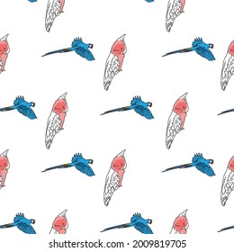 Vector white background tropical birds, parrots, macaw, exotic cockatoo birds. Seamless pattern background