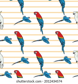 Vector white background tropical birds, parrots, macaw, exotic cockatoo birds. Seamless pattern background