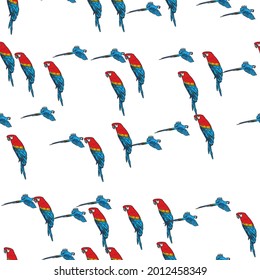 Vector white background tropical birds, parrots, macaw, exotic cockatoo birds. Seamless pattern background