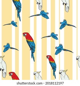 Vector white background tropical birds, parrots, macaw, exotic cockatoo birds. Seamless pattern background