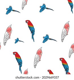 Pájaros tropicales de fondo blanco vectorial, loros, macao, gallinas exóticas. Fondo de patrón sin problemas