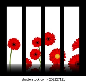 Vector white banners with red gerbera flowers. Eps-10.