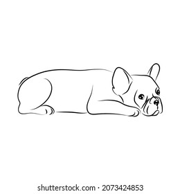 vector white black contour french bulldog symbol sweet dog emblem pet sticker puppy mascot cute 