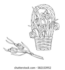 vector white black contour sketch of wild flowers in the basket 