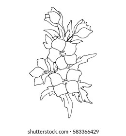 vector white black contour sketch of wild flowers bouquet