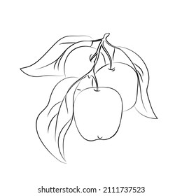 vector white black illustration coloring page apple fruit branch leaves symbol sign harvest