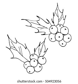 vector white black simple holly bunch contour illustration